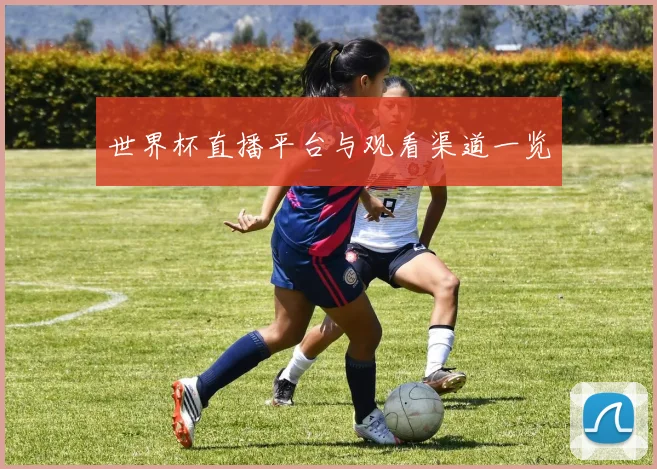 世界杯直播平台与观看渠道一览