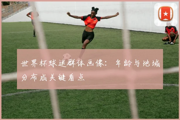 世界杯球迷群体画像:年龄与地域分布成关键看点