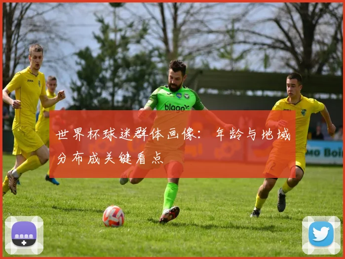 世界杯球迷群体画像：年龄与地域分布成关键看点